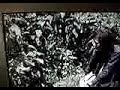 Dian Fossey Bob Cambpell gorilas en la niebla 4ªparte