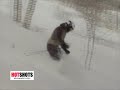 powder skiing japan 3