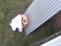 Roof Wrangling Roof Wrangling
