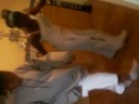 bb chabine && zitoune bb chabine && zitoune