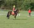 logis du poney poney games open élite