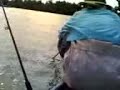 pulau ketam