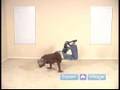 Free Breakdance Lessons  Learn how to Breakdance Online    The Turtle  Learn Free Breakdance Moves