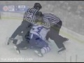 Another Penguins Fight Video