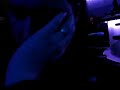 Stuart Liptrot asleep in Speakeasy nightclub