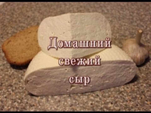 Сыр сулугуни в домашних условиях с пепсином видео