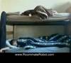 Hilarious But Annoying Roommate