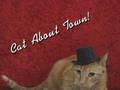 Kitty Hat...