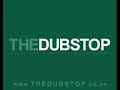 She Is Danger - Hurt You Subscape Remix (THEDUBSTOP.CO.UK)