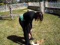 videos de Fresita -  the super dog!!!!!