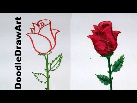 Drawing: How To Draw a Rose step by step – easy lesson for kids, beginners – cartoon rose