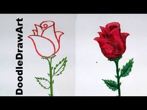 how to draw rose step by step