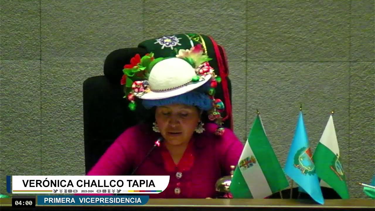 183a Sesión Ordinaria - 12/09/24
