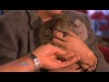Amazing Animals with Jack Hanna on Ellen