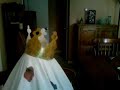 king boo episode 3