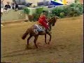 Arabian Horse Youth Nationals- Freestyle- Diagramm +