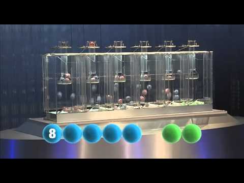 euromillions numbers