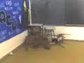 quilombo en el curso