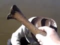 Fosiles del Rio Salado 2008 (parte 1/2)