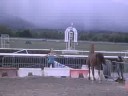 Hippodrome de divone Hippodrome de divone