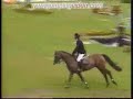 Picasso Des Bles - Fontainebleau 2008 - Finale