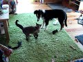 Lucy-Joschi-Spiel.avi