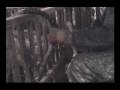 Foie gras de l'horreur 2/2 -The Truth about Foie Gras