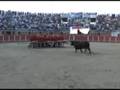 Sabugal Aldeia do Bispo 2008 Festival do forcão -bullfight
