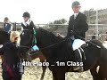 competition alegria 22nov09 deb 1m & jumpoff