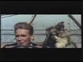 billy fury horse
