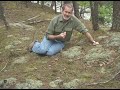 Reindeer Moss.wmv