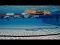 Sportunterricht: SCHNELLER SCHWIMMEN (DVD / Vorschau)