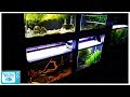 29 Gallon Aquarium Weigh With Water