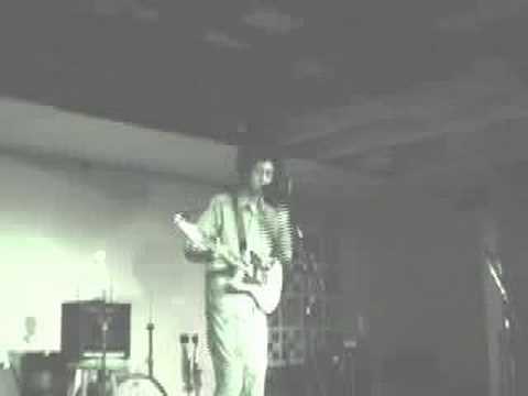 COCKER SPANIELS live video clip!