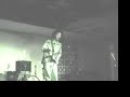 COCKER SPANIELS live video clip! COCKER SPANIELS live video clip!