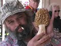 Morel Oddities - The Freak Show