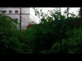 Click here to watch this video Quick Fix on dangerous FPL power line situation