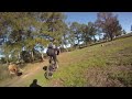 Mark gets chased by longhorn.mov