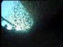 SS Thistlegorm DEEL 1