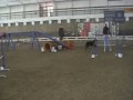 Vianočné preteky 5. - 6. 12. 2009