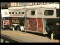 Animal rescue owner arrested.