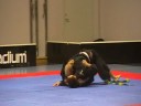 Scandinavian Open 2008