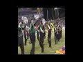 USF Bulls Marching Band Football Halftime VHVIDEO.COM