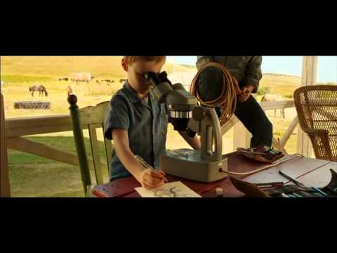 Watch The Young And Prodigious T.S. Spivet Online Full Movie