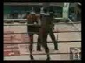 muay thai