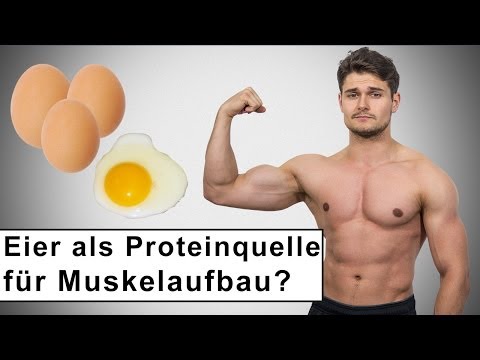 Eier die beste Proteinquelle für den Muskelaufbau!?