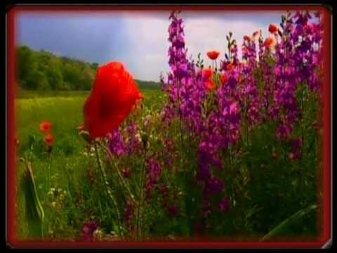 Image de prévisualisation YouTube