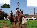 boiada cuiabana  viola caipira moda de viola