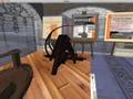 Macchine di Leonardo, Second Life