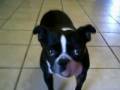videos de R.I.P MISTY
